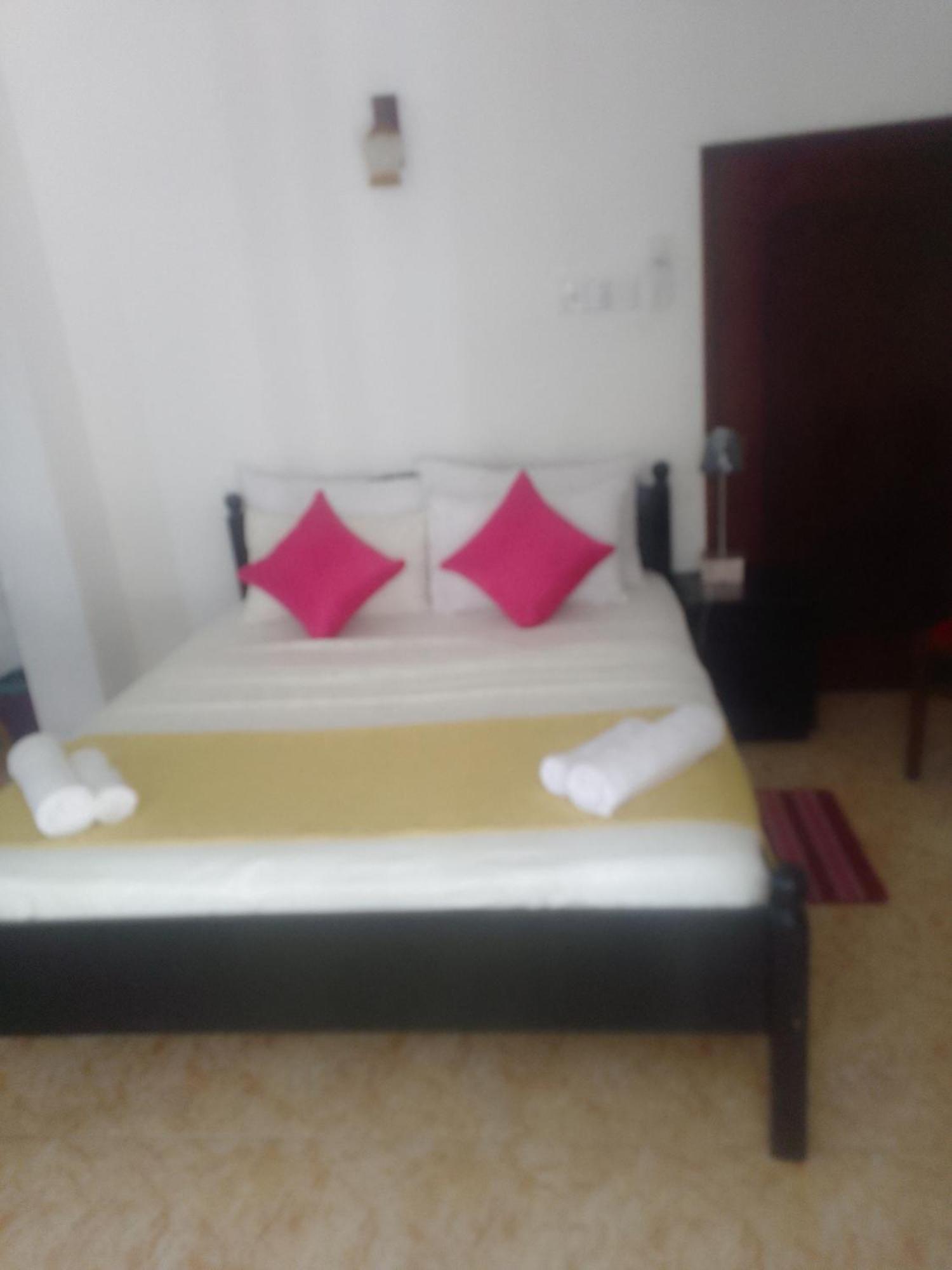 Steur Villa نيجومبو المظهر الخارجي الصورة