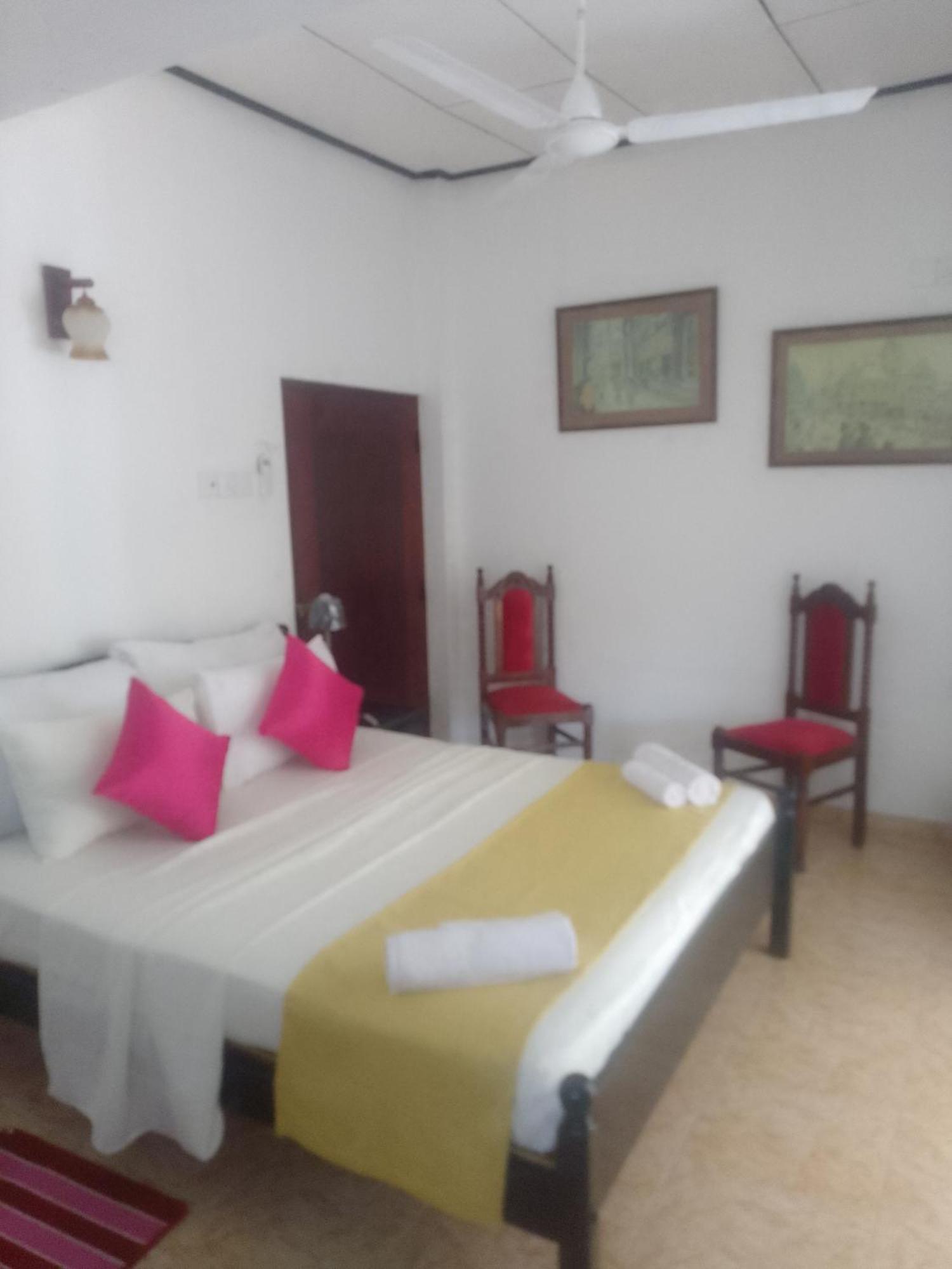 Steur Villa نيجومبو المظهر الخارجي الصورة